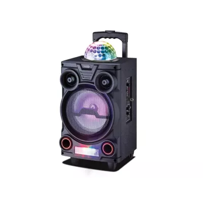 سماعة مكبر صوت 8 بوصة مزود ببطارية قابلة لإعادة الشحن